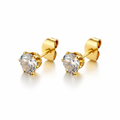 Pendientes Brillo Eterno