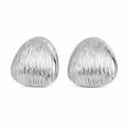 Pendientes Brillo Plateado